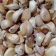舞荷果2023年新大蒜頭農(nóng)民自種河南開封新干蒜 蒜頭紫皮白皮 不去皮蒜粒500g