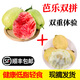 【順豐】黃金軟心芭樂 冰激淋胭脂紅芭樂 軟糯雞屎果 新鮮水果 5斤【紅黃雙拼】