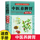 中醫(yī)養(yǎng)脾胃速查手冊(cè) 中醫(yī)藥膳食譜按摩推拿穴位書(shū) 調(diào)理脾胃虛寒內(nèi)分泌失調(diào)胃寒胃痛畏寒精神不振發(fā)胖養(yǎng)生書(shū)籍大全