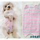 泰旺純棉母狗狗全包肚子四腳衣服防公狗亂尿貓狗絕育手術(shù)服斷奶服薄款 粉白條紋(純棉萊卡) L