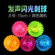 聚創(chuàng  )麒狗玩具貓玩具彈力閃光球發(fā)聲玩具耐咬磨牙大小型犬互動(dòng)訓練刺頭球 大號7.5cm【顏色隨機】