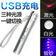 雷佰 紅外線激光筆迷你USB充電逗狗貓棒售樓指示射筆二合一照明白光燈 紅激光+白光【USB充電版】
