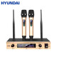 HYUNDAI現(xiàn)代（HYUNDAI） HYUNDAI/現(xiàn)代 H-200無(wú)線話筒一拖二無(wú)線麥克風(fēng)會(huì)議家用卡拉OK話筒 H150