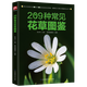 【包郵】209種常見花草圖鑒 認識身邊花草樹木速查圖鑒花卉鑒賞圖鑒花草時光一草一天堂一花一世界書籍
