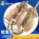 密水農(nóng)家鐵板大魷魚串燒烤串火鍋油炸食材水產(chǎn)商用鮮活冷凍半成品海鮮 魷魚串150g*10串