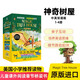 神奇樹(shù)屋英語(yǔ)原版 Magic Tree House神奇樹(shù)屋全套英文原版兒童讀物探險文學(xué)小說(shuō)百科美國中小學(xué)課外閱讀書(shū)籍章節橋梁書(shū)英文進(jìn)口書(shū) 【中英雙語(yǔ)版】神奇樹(shù)屋1-4冊