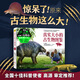 真實大小的古生物圖鑒：科普版山海經(jīng)