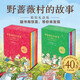 野薔薇村的故事經(jīng)典童話故事繪本中文版精裝禮盒全8冊春夏秋冬天一年四季冒險(xiǎn)故事書寶寶親子閱讀田園畫風(fēng)圖畫書3-6歲兒童文學(xué)書籍 野薔薇村的故事：全8冊