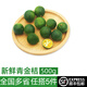 綠食者 海南青金桔500g 新鮮小青桔小檸檬皮薄多汁奶茶飲品專用 1斤