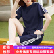中考體育專(zhuān)用運動(dòng)服女生套裝初三中招體考跑步跳繩考試衣服裝班服 寶藍色套裝 L【建議101-110斤】