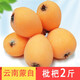 綠養(yǎng)道【順豐快遞】云南蒙自枇杷果2斤凈重 新鮮水果
