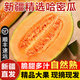 兮柔【順豐】新疆吐魯番哈密瓜 西周蜜25號火焰網(wǎng)紋瓜當季新鮮水果 精選2個裝（約6-7斤）