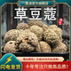 墨源草寇香料草蔻草扣草豆蔻中藥材豆蔻仁老蔻調(diào)料鹵料燉肉煲湯粉大料 草豆蔻500克【新貨】