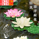 東之天地仿真荷花假花水池魚(yú)缸裝飾池塘造景永生花仿真花供佛睡蓮拍攝道具 仿真荷花2個(gè)【白色+淺粉色】