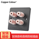 銅彩（COPPER COLOUR）IST ISS發(fā)燒音箱面板/插座 音響音頻插座 磨砂入墻鍍佬接線柱 ISS-紫銅2位磨砂黑色