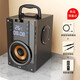 索愛（soaiy） Q22無線藍牙音箱大功率戶外大音量低音炮家用唱歌廣場舞K歌小型電腦臺式收款碼音響 5寸旗艦版黑【2支無線話筒+原裝遙控器+充電線】