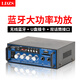 LDZS 新款藍牙功放機家用大功率迷你小型功放器220V12伏車(chē)載插卡FM收音功放 藍牙功放機