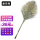 康麗雅 K-0085 竹柄大掃把 環(huán)衛(wèi)竹掃把戶外大號笤帚掃帚馬路掃 竹柄5斤-5把裝