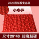 BNWTYDHW指壓板TPE韓國指壓板小冬筍足底按摩墊腳底超疼趾壓板 小冬筍 紅色
