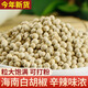 正宗海南特級(jí)白胡椒粒去腥農(nóng)家白胡椒粉調(diào)料散裝商用家另有黑胡椒 特級(jí)白胡椒粒500g