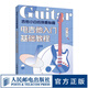 吉他小白的彈奏秘籍 電吉他入門基礎(chǔ)教程 電吉他初學(xué)者入門教程書(shū) 吉他教程書(shū)零基礎(chǔ) 吉他入門書(shū)籍