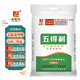 五得利面粉家庭通用粉包子饅頭拉面餃子五星金特精小麥粉5kg