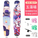 Rebirth Meow喵板長(cháng)板Meow三代長(cháng)板女生rebirth舞板藍喵4代板面兒童初學(xué)者滑板 玉藻喵 橋輪顏色備注