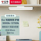 公牛（BULL）LED酷斃燈 學(xué)生寢室吸附磁吸宿舍神器臺燈學(xué)習 床頭櫥柜燈USB充電 【6W|最大4h續航】充插兩用