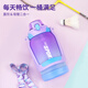 品家家品（PINKAH）便攜直飲水壺大容量頓頓桶塑料運(yùn)動(dòng)水瓶tritan大肚杯吸管頓頓水壺 夢(mèng)幻紫 1.6L