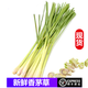 桃李村【順豐】新鮮香茅草檸檬草香茅 泰式冬陰功湯料調(diào)料香料 500g