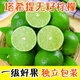 南步福建塔希提香水檸檬 一級(jí)青檸檬無籽檸檬奶茶店飲品專用新鮮水果 1斤 一級(jí)精品果