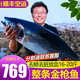 漁人百味 金槍魚新鮮金槍生鮮整條16-100斤金槍魚頭下巴海鮮冷凍黃旗去尾1 金槍魚整條16-20斤