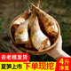 辰實(shí)【現(xiàn)貨】新鮮馬蹄筍 綠筍春夏鮮筍 現(xiàn)挖脆嫩筍 時(shí)令冬筍蔬菜 4斤