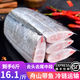 只只紅正宗舟山帶魚段東海小眼睛帶魚中段新鮮冷凍海鮮生鮮水產(chǎn)去頭去尾 6斤裝