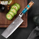 FINDKING大馬士革鋼7英寸小菜刀家用切菜刀切片刀日式料理刀廚房刀具  藍琦7寸小菜刀