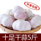 千封2025河南大蒜新干蒜紫皮大蒜頭 5斤特大果