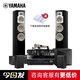雅馬哈（YAMAHA）NS-71 家庭影院5.1 DTS/杜比解碼功放 立體環(huán)繞聲功放音箱音響套裝客 廳家用KTV 影院影k二合一 350搭配RXV385 黑色
