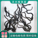鰻魚(yú)苗白鱔魚(yú)苗河鰻魚(yú)苗淡水魚(yú)塘養殖白鰻苗江鰻苗漁場(chǎng)直銷(xiāo)批發(fā)價(jià) 10-15cm 幼苗 30條