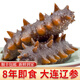 神礁島 大連即食海參 遼刺參 深海底播 海鮮水產(chǎn) 8年500g9-14只 簡裝