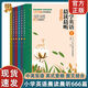 小學(xué)英語晨讀晨聽666篇全6冊中英雙語生詞注釋句式練習(xí)附贈(zèng)英文音頻每天一篇在朗讀中提升孩子的英語能力小學(xué)生1-6年 英語晨讀書