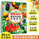 圖解果樹(shù)栽培與修剪關(guān)鍵技術(shù) 果樹(shù)種植技術(shù)大全書(shū)果樹(shù)栽培書(shū)籍果樹(shù)嫁接技術(shù)圖解果樹(shù)病蟲(chóng)害診斷