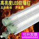 祎琳（yilin）LED防爆燈長(cháng)條T8單雙管隔爆型三防熒光燈Ex國標倉庫廚房燈具 1.2米雙管+佛山LED32W燈管