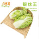 東升銀絲王白菜300g 銀絲王菜 王白菜供港蔬菜新鮮配送