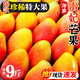 京地達海南貴妃芒果 凈重9斤超大果200g+肉厚無(wú)絲香甜新鮮水果源頭包郵