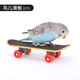 威畢鸚鵡啃咬玩具用品啃咬磨牙購物滑板車(chē)鏡子虎皮玄鳳訓練益智玩具 鸚鵡玩具滑板