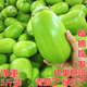 囧仙子河南青茄子綠茄子新鮮綠皮茄子蔬菜5斤現(xiàn)摘現(xiàn)發(fā)青菜特產(chǎn) 青茄子 5斤