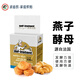 燕子（SAF INSTANT）高活性干酵母法國(guó)樂(lè)斯福燕牌發(fā)酵粉家用面包烘焙包子饅頭耐高糖 耐高糖金燕100g*1袋