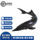 沢素灣 鮮活鱘魚禮盒裝 包活到家海鮮禮盒禮包長(zhǎng)輩父母節(jié)送禮禮盒 1條禮盒裝 5斤/條【包活到家】