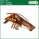 COLLECTA英國CollectA我你他仿真海洋動(dòng)物模型玩具鯨魚(yú)南北極認知合集 88920波士頓龍蝦