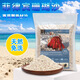 靈兒寵物寄居蟹免洗底沙珊瑚沙魚(yú)缸天然菲律賓沙珊瑚貝殼沙海缸螃蟹烏龜沙 A細(xì)顆粒0.5-1mm 5斤裝